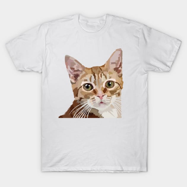 Orange Tabby T-Shirt by aecdesign